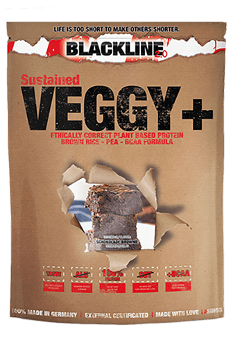 Sinob Veggy + Veganes Protein - 900g